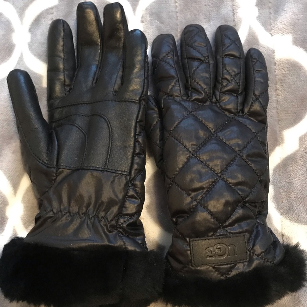 Ugg Gloves